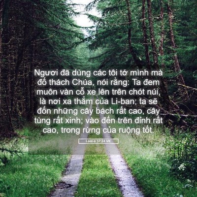 Picture 05 - I-sai-a 37:24 VIE - Ngươi đã dùng các tôi tớ mình mà đố - Bible Verse Picture