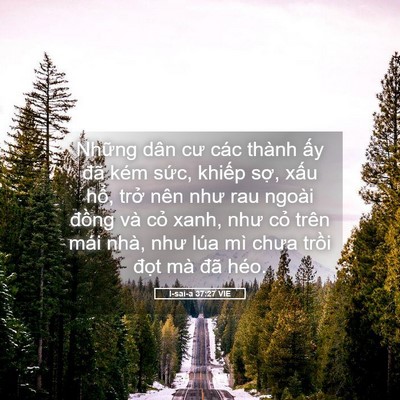 Picture 05 - I-sai-a 37:27 VIE - Những dân cư các thành ấy đã kém - Bible Verse Picture