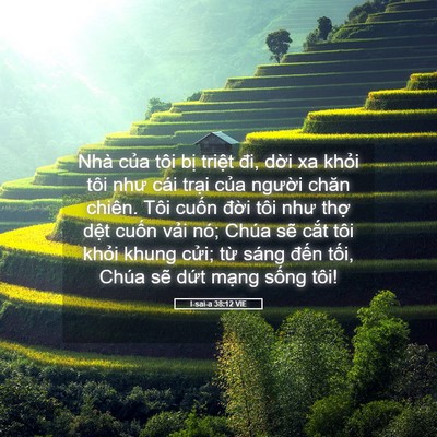 Picture 05 - I-sai-a 38:12 VIE - Nhà của tôi bị triệt đi, dời xa khỏi - Bible Verse Picture
