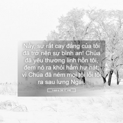 Picture 05 - I-sai-a 38:17 VIE - Nầy, sự rất cay đắng của tôi đã - Bible Verse Picture