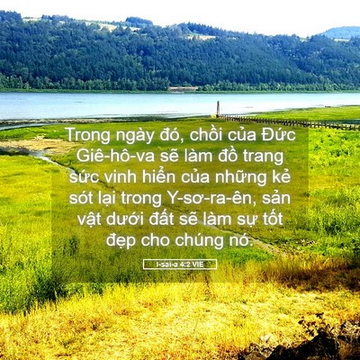 Picture 05 - I-sai-a 4:2 VIE - Trong ngày đó, chồi của Đức Giê-hô-va - Bible Verse Picture