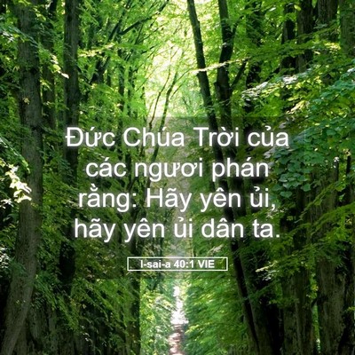 Picture 05 - I-sai-a 40:1 VIE - Đức Chúa Trời của các ngươi phán - Bible Verse Picture