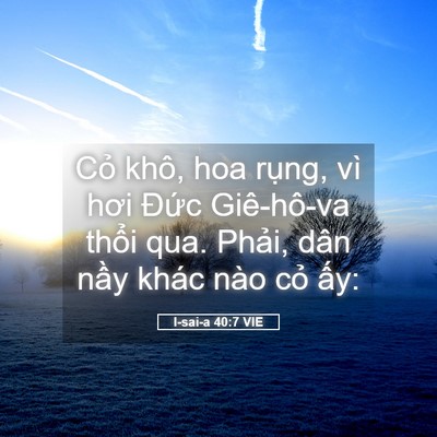 Picture 05 - I-sai-a 40:7 VIE - Cỏ khô, hoa rụng, vì hơi Đức - Bible Verse Picture