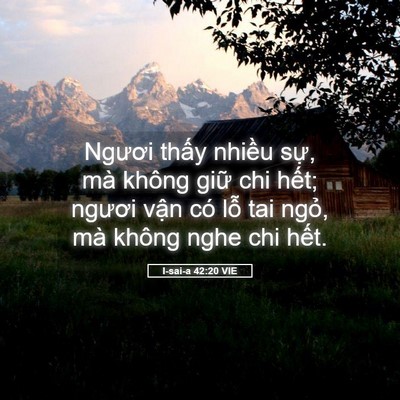 Picture 05 - I-sai-a 42:20 VIE - Ngươi thấy nhiều sự, mà không giữ chi - Bible Verse Picture