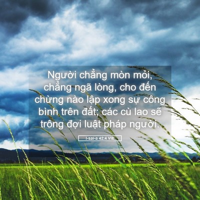 Picture 05 - I-sai-a 42:4 VIE - Người chẳng mòn mỏi, chẳng ngã lòng, - Bible Verse Picture