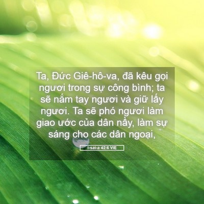Picture 05 - I-sai-a 42:6 VIE - Ta, Đức Giê-hô-va, đã kêu gọi ngươi - Bible Verse Picture