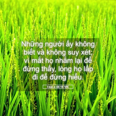 Picture 05 - I-sai-a 44:18 VIE - Những người ấy không biết và không - Bible Verse Picture