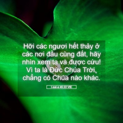 Picture 05 - I-sai-a 45:22 VIE - Hỡi các ngươi hết thảy ở các nơi - Bible Verse Picture