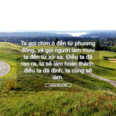 Picture 05 - I-sai-a 46:11 VIE - Ta gọi chim ó đến từ phương đông, và - Bible Verse Picture