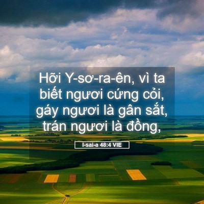 Picture 05 - I-sai-a 48:4 VIE - Hỡi Y-sơ-ra-ên, vì ta biết ngươi cứng - Bible Verse Picture