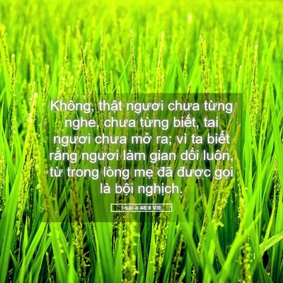 Picture 05 - I-sai-a 48:8 VIE - Không, thật ngươi chưa từng nghe, chưa - Bible Verse Picture