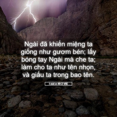 Picture 05 - I-sai-a 49:2 VIE - Ngài đã khiến miệng ta giống như gươm - Bible Verse Picture