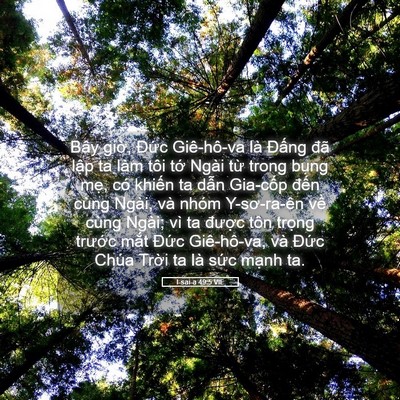 Picture 05 - I-sai-a 49:5 VIE - Bây giờ, Đức Giê-hô-va là Đấng đã - Bible Verse Picture
