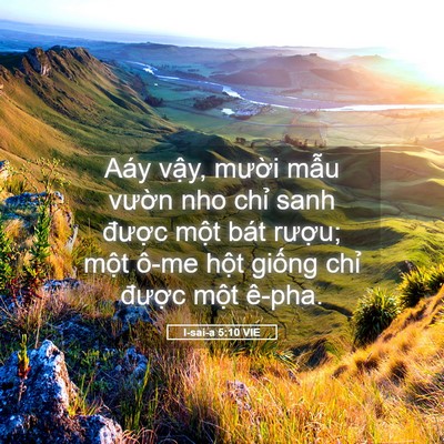 Picture 05 - I-sai-a 5:10 VIE - Aáy vậy, mười mẫu vườn nho chỉ sanh - Bible Verse Picture