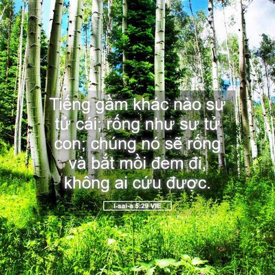 Picture 05 - I-sai-a 5:29 VIE - Tiếng gầm khác nào sư tử cái; rống - Bible Verse Picture