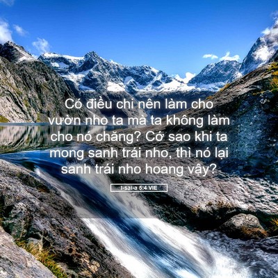 Picture 05 - I-sai-a 5:4 VIE - Có điều chi nên làm cho vườn nho ta mà - Bible Verse Picture