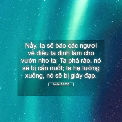 Picture 05 - I-sai-a 5:5 VIE - Nầy, ta sẽ bảo các ngươi về điều ta - Bible Verse Picture