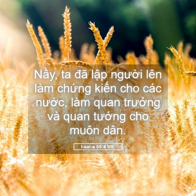 Picture 05 - I-sai-a 55:4 VIE - Nầy, ta đã lập người lên làm chứng - Bible Verse Picture