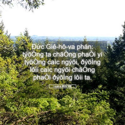 Picture 05 - I-sai-a 55:8 VIE - Đức Giê-hô-va phán: týõÒng ta chãÒng - Bible Verse Picture