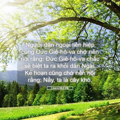 Picture 05 - I-sai-a 56:3 VIE - Người dân ngoại liên hiệp cùng Đức - Bible Verse Picture