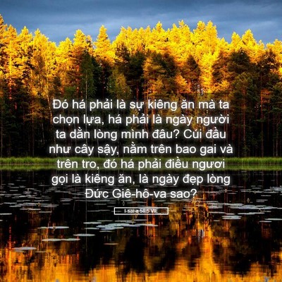 Picture 05 - I-sai-a 58:5 VIE - Đó há phải là sự kiêng ăn mà ta chọn - Bible Verse Picture