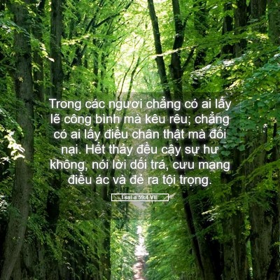 Picture 05 - I-sai-a 59:4 VIE - Trong các ngươi chẳng có ai lấy lẽ - Bible Verse Picture
