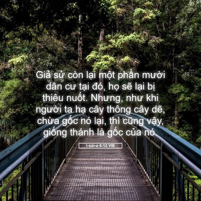 Picture 05 - I-sai-a 6:13 VIE - Giả sử còn lại một phần mười dân - Bible Verse Picture