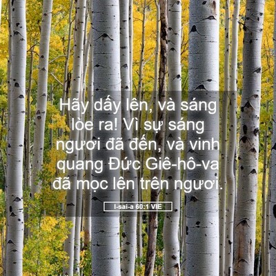 Picture 05 - I-sai-a 60:1 VIE - Hãy dấy lên, và sáng lòe ra! Vì sự - Bible Verse Picture