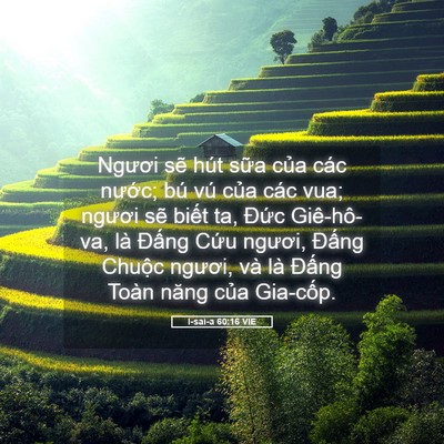 Picture 05 - I-sai-a 60:16 VIE - Ngươi sẽ hút sữa của các nước; bú - Bible Verse Picture