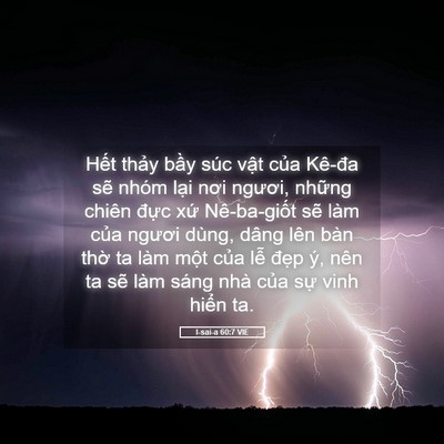 Picture 05 - I-sai-a 60:7 VIE - Hết thảy bầy súc vật của Kê-đa sẽ - Bible Verse Picture