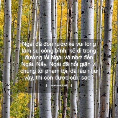 Picture 05 - I-sai-a 64:5 VIE - Ngài đã đón rước kẻ vui lòng làm sự - Bible Verse Picture