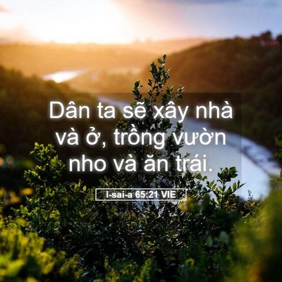 Picture 05 - I-sai-a 65:21 VIE - Dân ta sẽ xây nhà và ở, trồng vườn - Bible Verse Picture