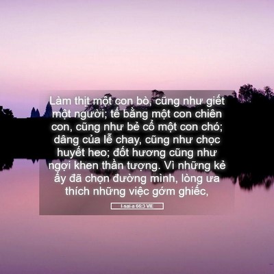 Picture 05 - I-sai-a 66:3 VIE - Làm thịt một con bò, cũng như giết - Bible Verse Picture