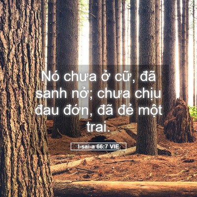 Picture 05 - I-sai-a 66:7 VIE - Nó chưa ở cữ, đã sanh nở; chưa chịu - Bible Verse Picture