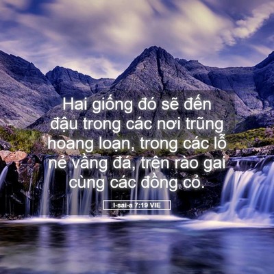 Picture 05 - I-sai-a 7:19 VIE - Hai giống đó sẽ đến đậu trong các - Bible Verse Picture