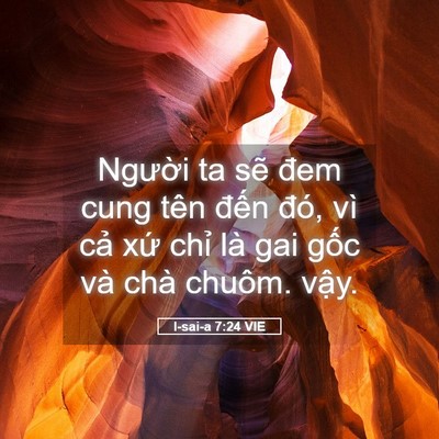 Picture 05 - I-sai-a 7:24 VIE - Người ta sẽ đem cung tên đến đó, vì - Bible Verse Picture
