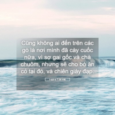 Picture 05 - I-sai-a 7:25 VIE - Cũng không ai đến trên các gò là nơi - Bible Verse Picture