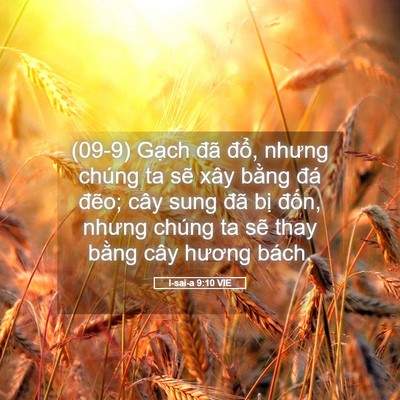 Picture 05 - I-sai-a 9:10 VIE - (09-9) Gạch đã đổ, nhưng chúng ta sẽ - Bible Verse Picture