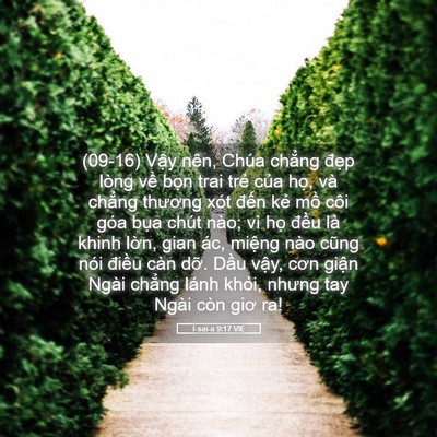 Picture 05 - I-sai-a 9:17 VIE - (09-16) Vậy nên, Chúa chẳng đẹp lòng - Bible Verse Picture