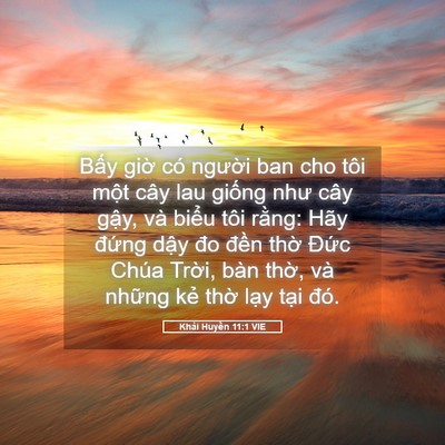 Picture 05 - Khải Huyền 11:1 VIE - Bấy giờ có người ban cho tôi một cây - Bible Verse Picture