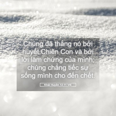 Picture 05 - Khải Huyền 12:11 VIE - Chúng đã thắng nó bởi huyết Chiên Con - Bible Verse Picture