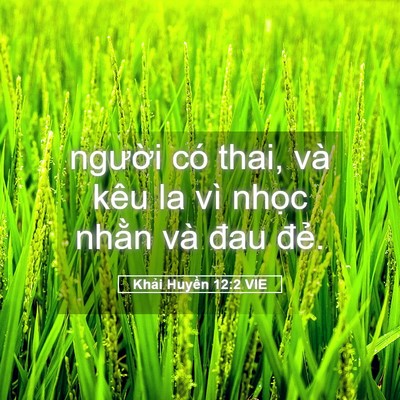 Picture 05 - Khải Huyền 12:2 VIE - người có thai, và kêu la vì nhọc nhằn - Bible Verse Picture