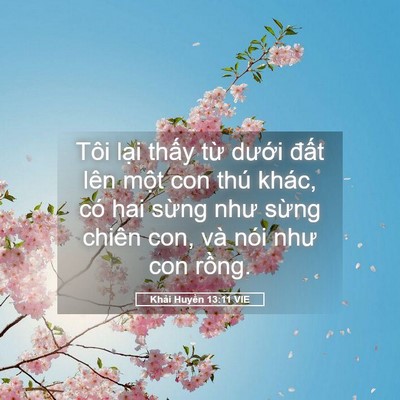 Picture 05 - Khải Huyền 13:11 VIE - Tôi lại thấy từ dưới đất lên một - Bible Verse Picture