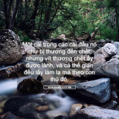 Picture 05 - Khải Huyền 13:3 VIE - Một cái trong các cái đầu nó như bị - Bible Verse Picture