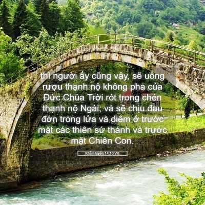 Picture 05 - Khải Huyền 14:10 VIE - thì người ấy cũng vậy, sẽ uống - Bible Verse Picture