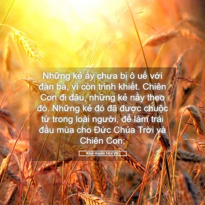 Picture 05 - Khải Huyền 14:4 VIE - Những kẻ ấy chưa bị ô uế với đàn - Bible Verse Picture