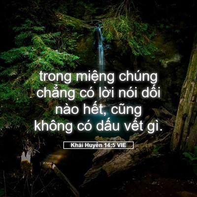 Picture 05 - Khải Huyền 14:5 VIE - trong miệng chúng chẳng có lời nói dối - Bible Verse Picture