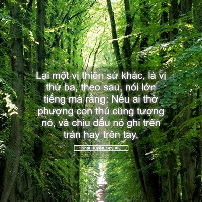 Picture 05 - Khải Huyền 14:9 VIE - Lại một vị thiên sứ khác, là vị - Bible Verse Picture
