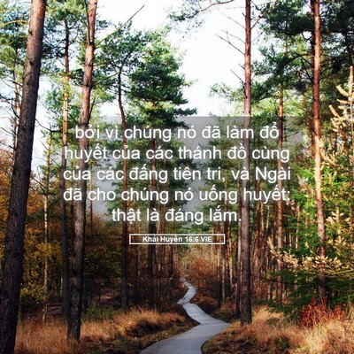 Picture 05 - Khải Huyền 16:6 VIE - bởi vì chúng nó đã làm đổ huyết - Bible Verse Picture