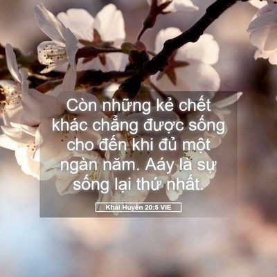 Picture 05 - Khải Huyền 20:5 VIE - Còn những kẻ chết khác chẳng được - Bible Verse Picture